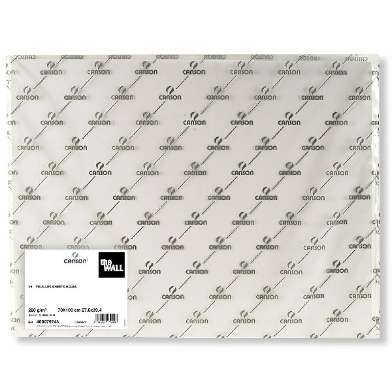 Canson The Wall Sheets 70 x 100cm 220gsm (sold in singles)