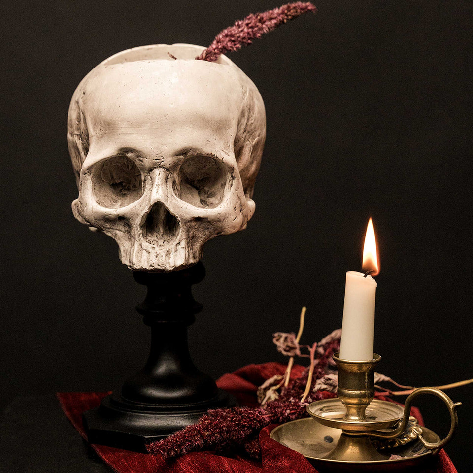 Skull of Jane Doe Plinth- Pot Version