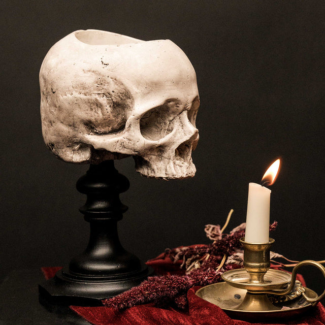 Skull of Jane Doe Plinth- Pot Version
