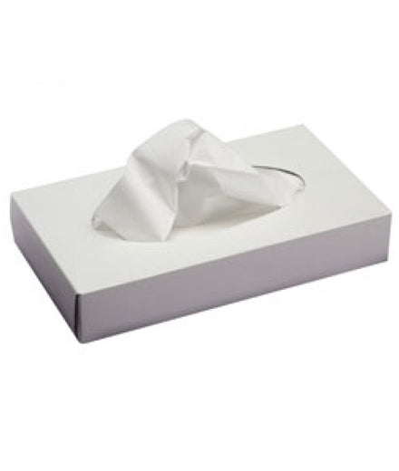 Facial Tissue 2 Ply White – 20 x 21cm (100)