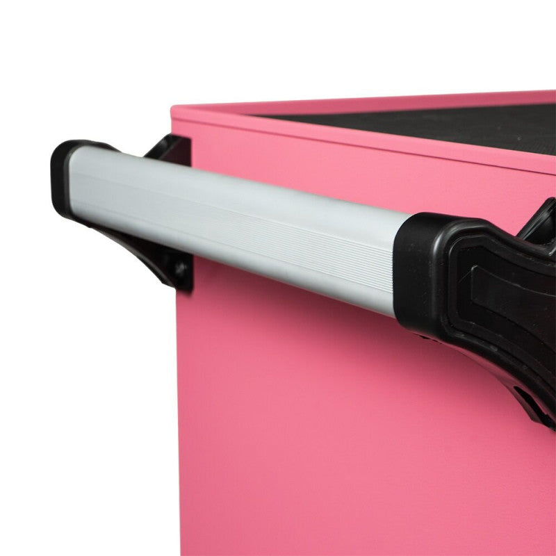 Professional - Workstation Pro - Pink