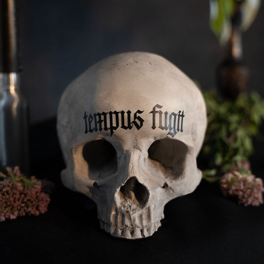 Tempus Fugit Skull Ornament