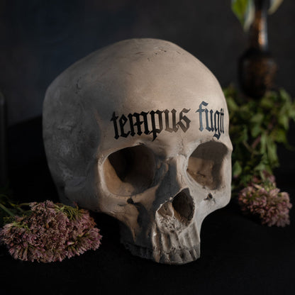 Tempus Fugit Skull Ornament